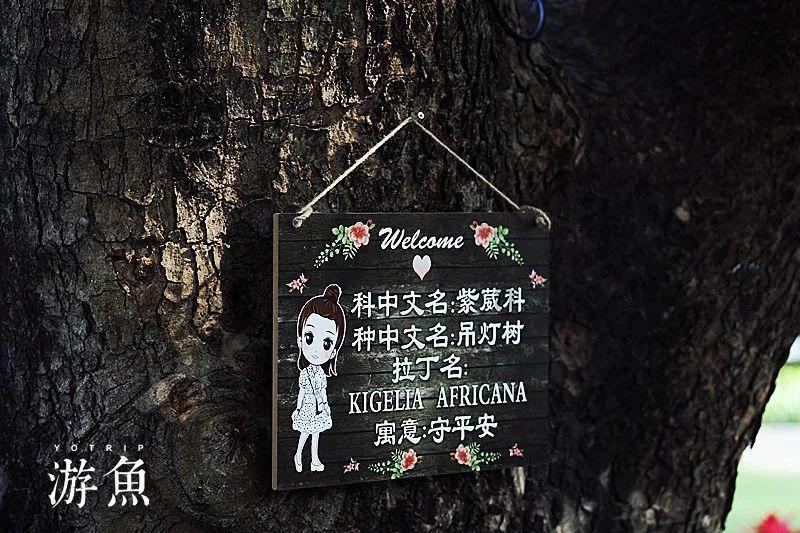 公办大学跟民办大学一样吗